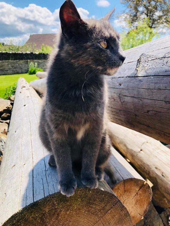 Selská chalupa Anetka Horšovský Týn Exterior foto